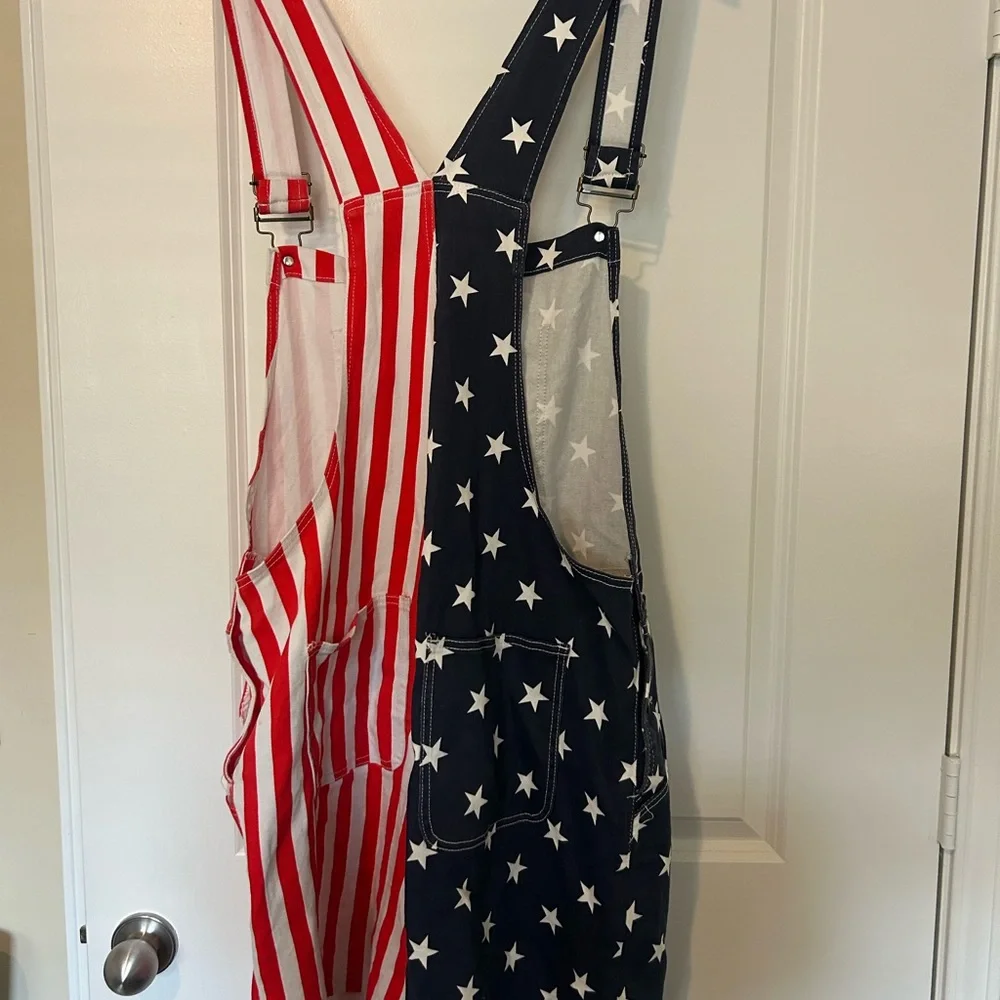 Men's Patriotic Eagle Overalls - Picture 2 of 8